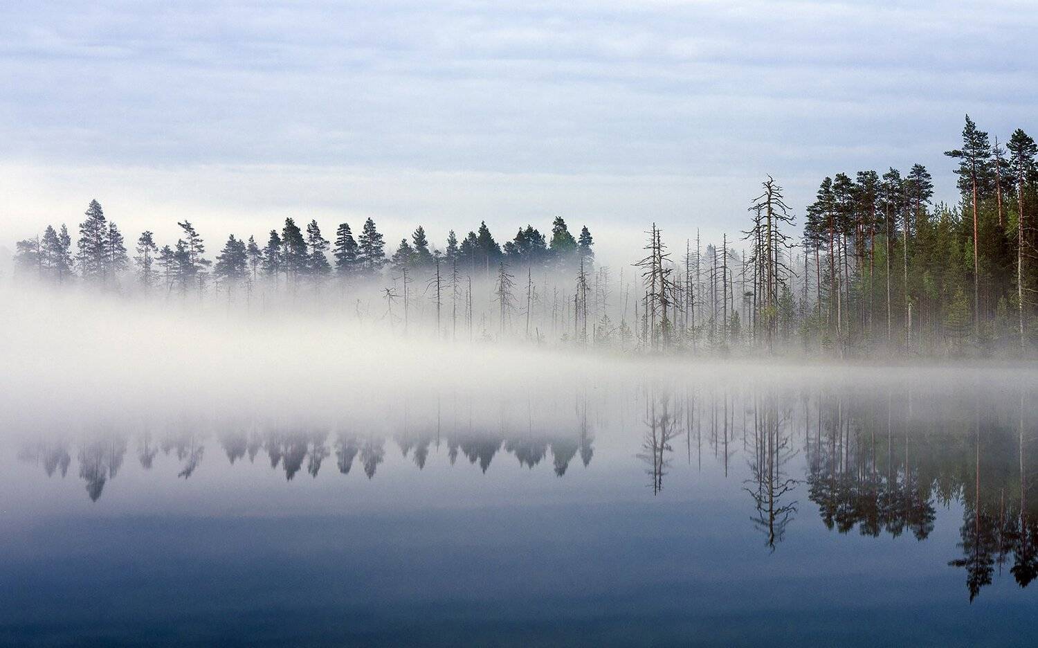 в воздушной оболочке. Автор: Виктор Карелия, Туман, Виктор