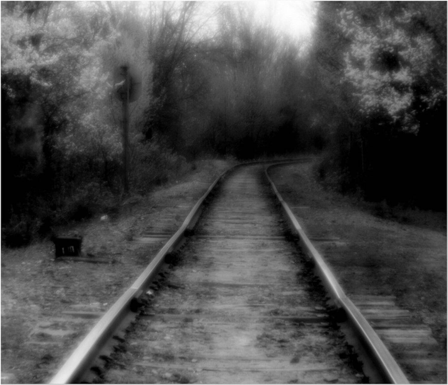 , Виктор Бойко