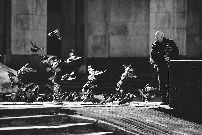 Друзьяphoto preview