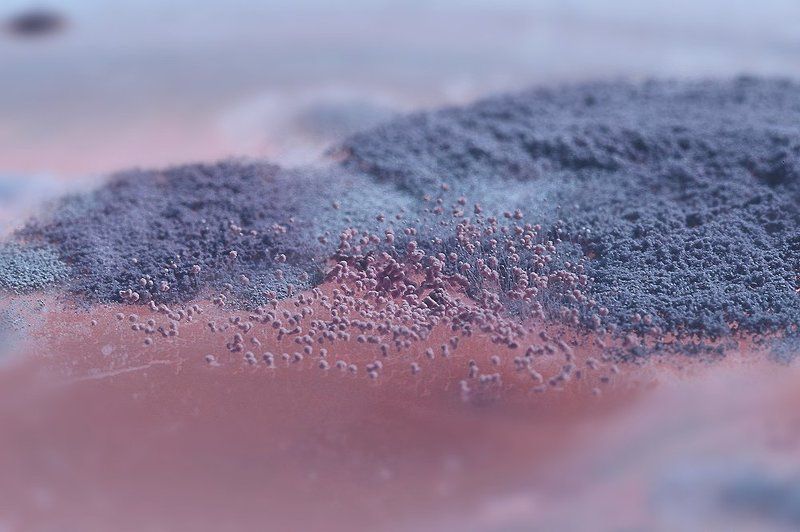 тайны неизведанной планетыphoto preview