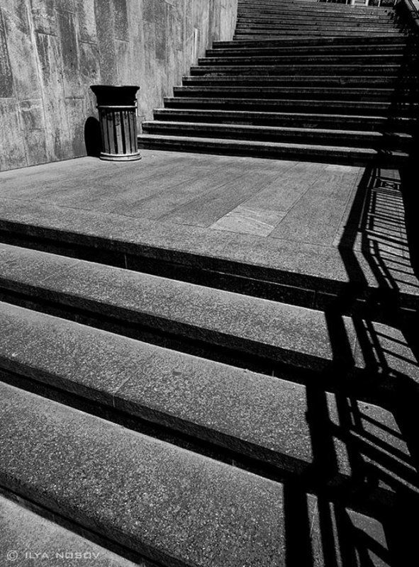 Линииphoto preview