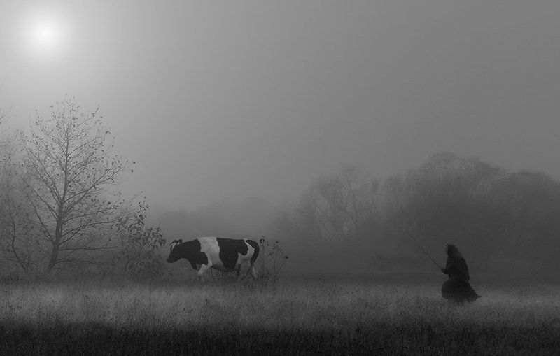 ВСЕГДА ТОЛЬКО ВДВОЁМ...photo preview