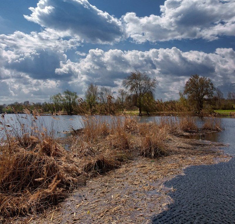 пейзаж Шумит камышphoto preview