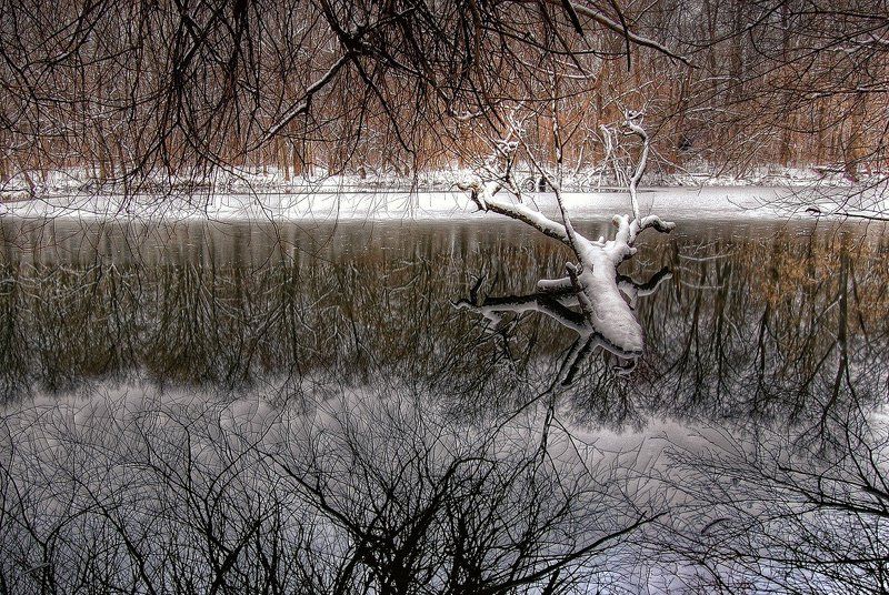 Лосиное озероphoto preview