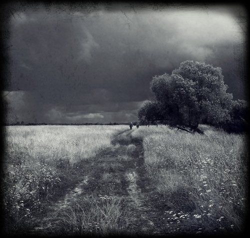 The Way...