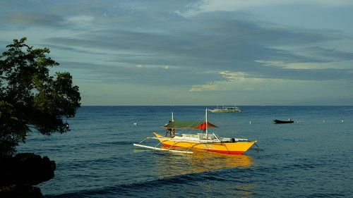 A sightseeing boat