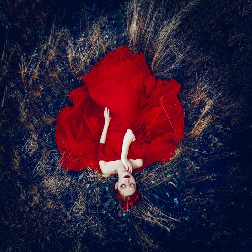 The Burning Flower