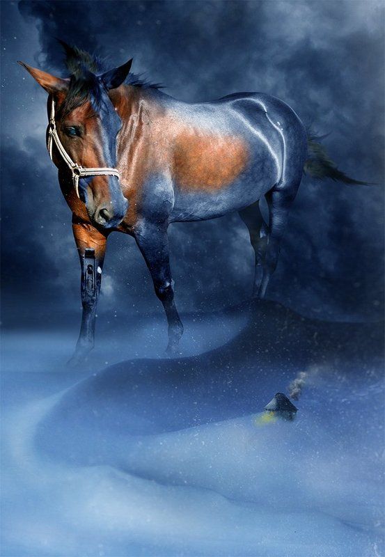 Конь стужи...photo preview