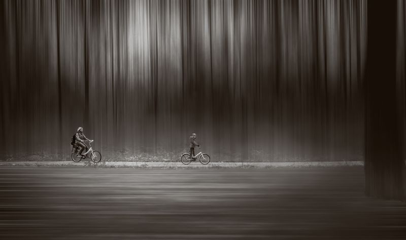 Bike, Bw, Child, Forest, Light, Mother, Road, Trees, Walking walking..photo preview