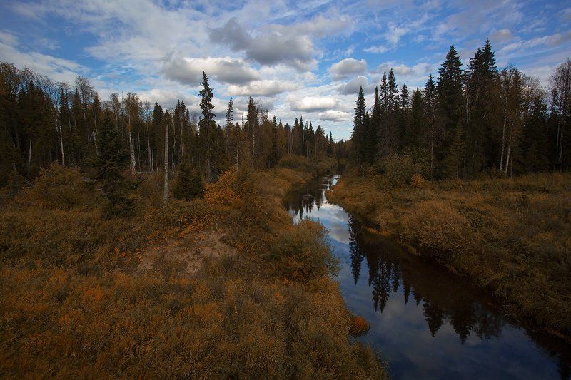 *********photo preview