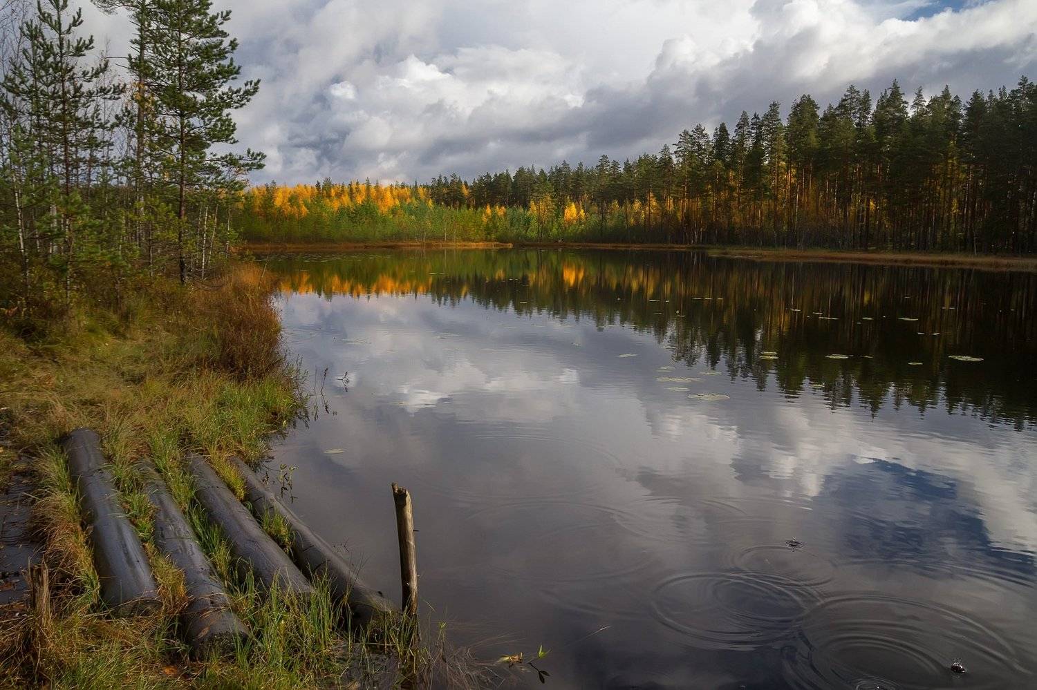 , Аркадий Белов