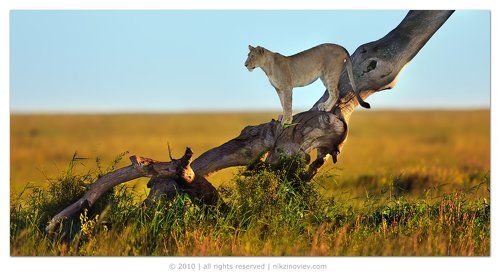В разведке