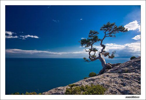 Синее синее море