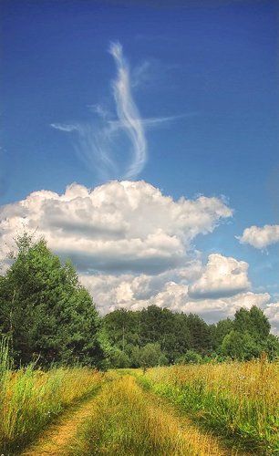 Жаркий денёк.