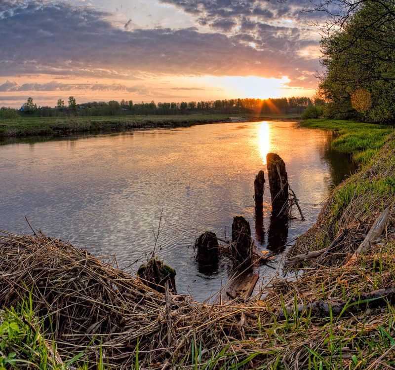 рассвет, утро, река встречаяя солнцеphoto preview