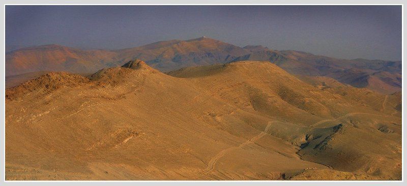 сирия, пустыня, пальмира Пальмираphoto preview