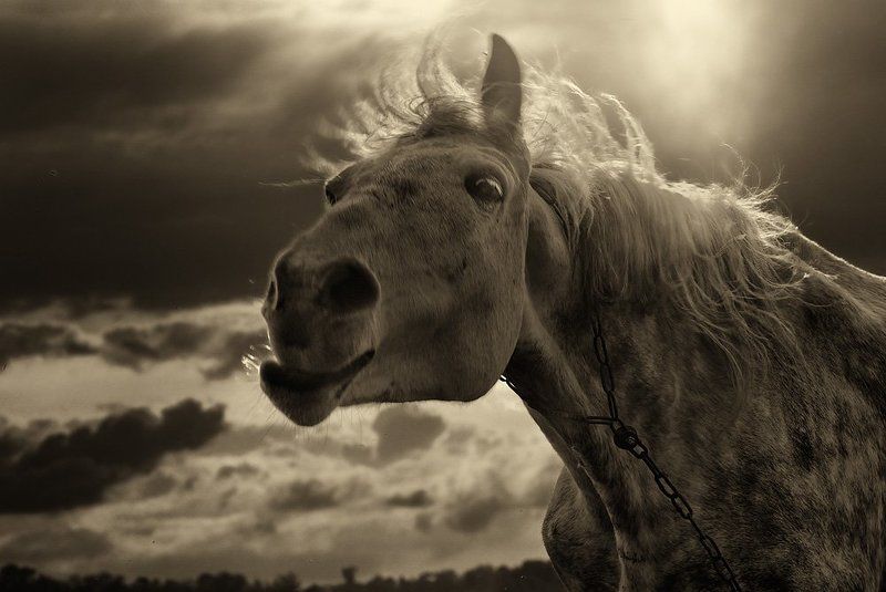 Здравствуйте!photo preview