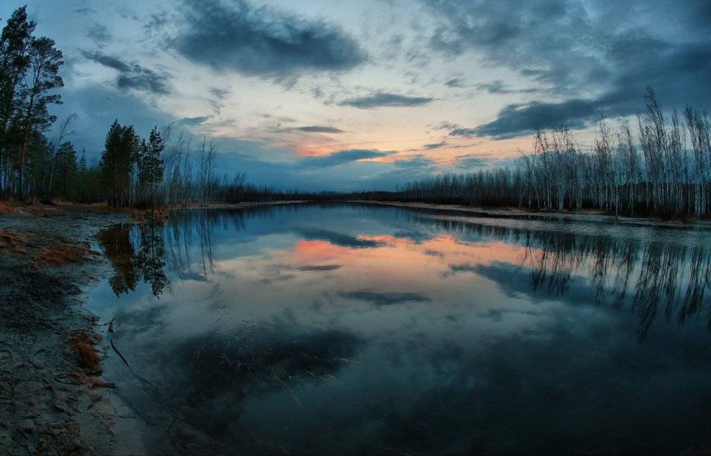 ...ночная , предгрозовая. Автор: optimist ..., белая, ночь, optimist