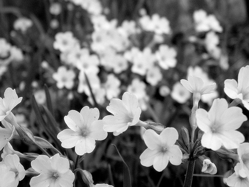 Обыденное...photo preview