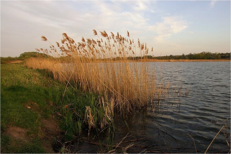 Ранним утром на рассвете...photo preview