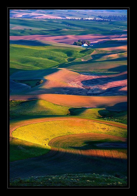 Palouse