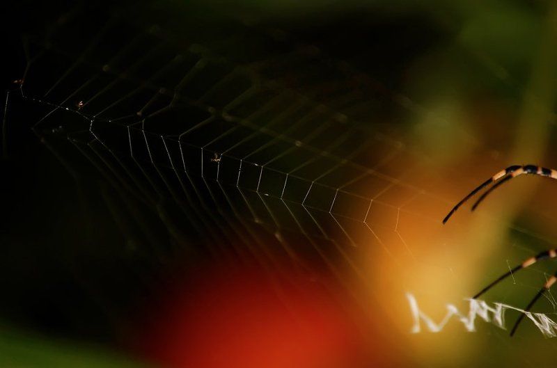 наступлениеphoto preview