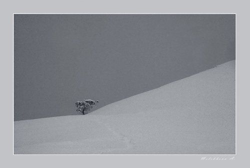 Снежность
