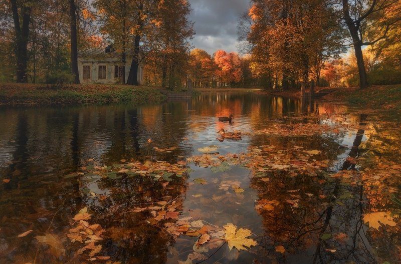 Осенняя шкатулка...
