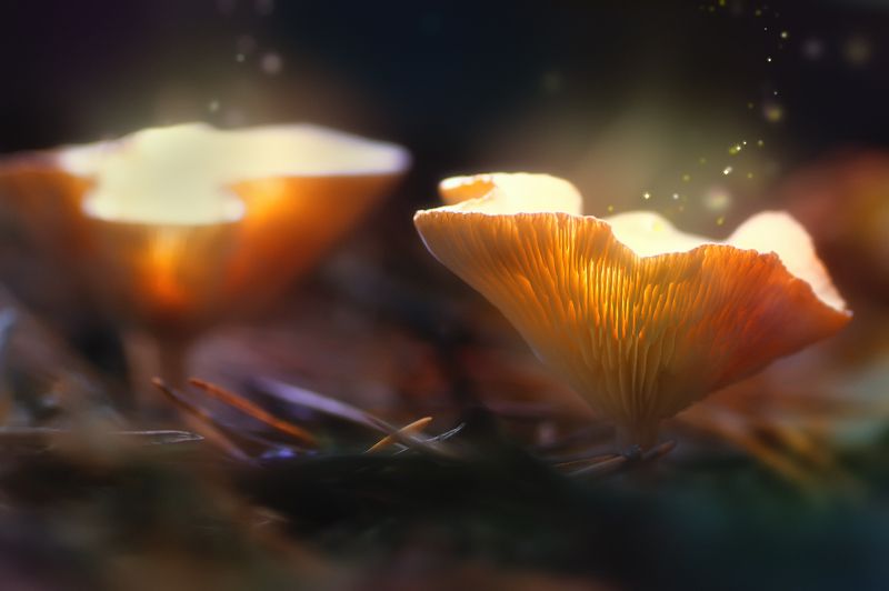 После полуночи !!!photo preview