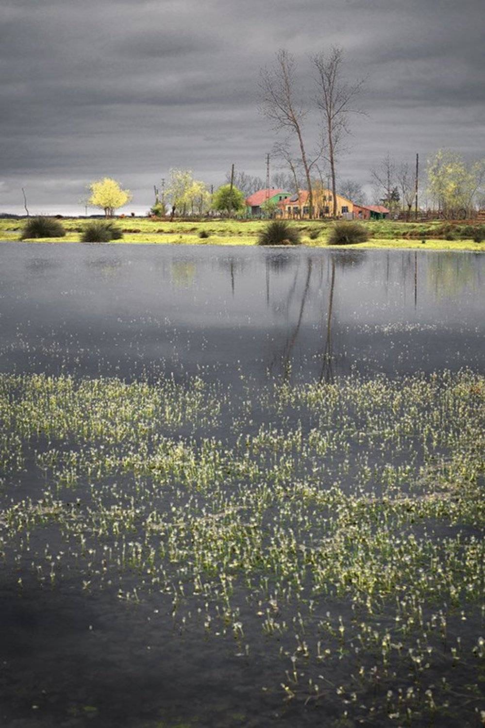 , Ramazan Yıldırım