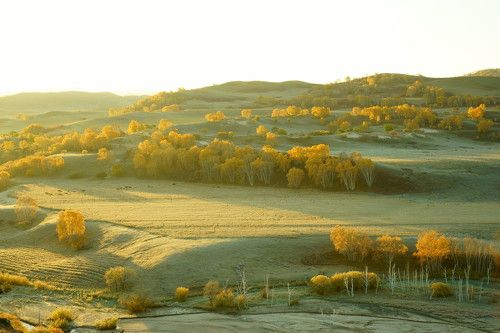 The morning light