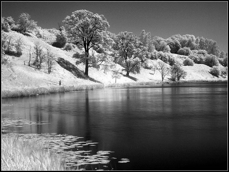 Июнь. Автор: Григорий Иващенко ик, инфракрасная, река, лето, Григорий Иващенко