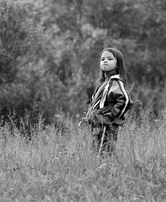 Комары и Ликаphoto preview