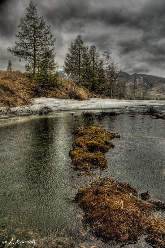 магадан дождь деревья болото Колымские зарисовки...или о дождливом понедельнике..photo preview