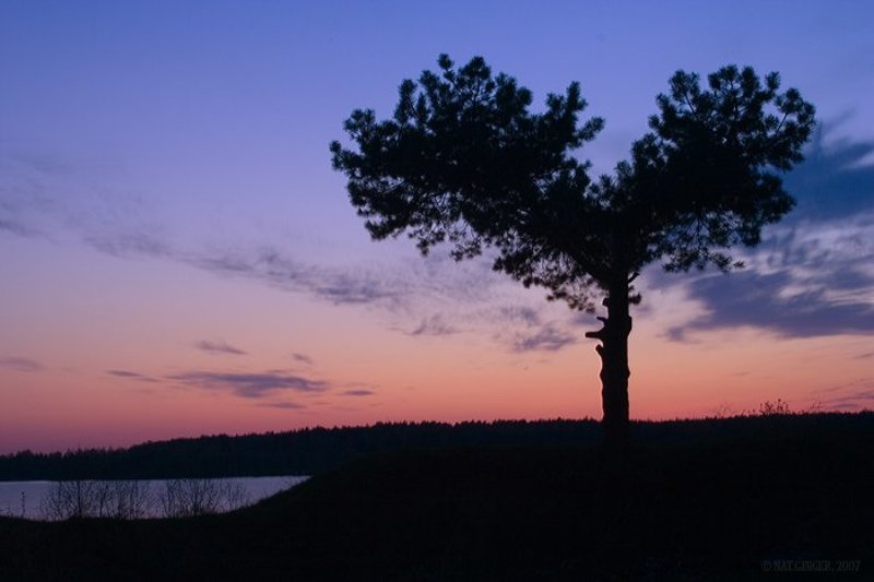 дерево, сердце, закат, вода Сердцеphoto preview