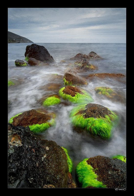 Step by Stepphoto preview