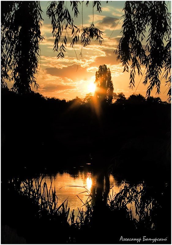 Проникновение солнцаphoto preview