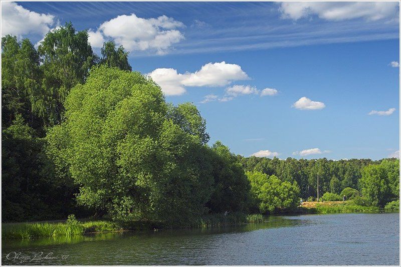 парк, лето, покровское-стрешнево, пруд в парке опять жеphoto preview