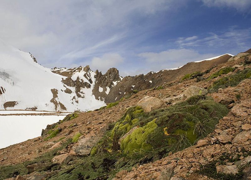 казахстан, заилийский, алатау, природа, горы будков дмирий ***photo preview