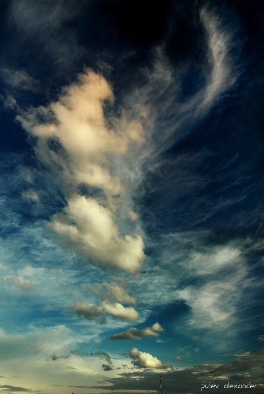 облака,москва,сзао Гордый птиц....photo preview