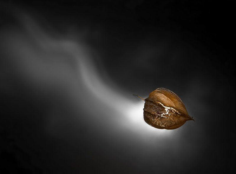 физалис Умирающая кометаphoto preview