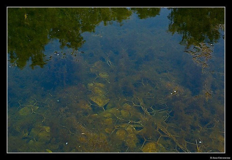 На днеphoto preview