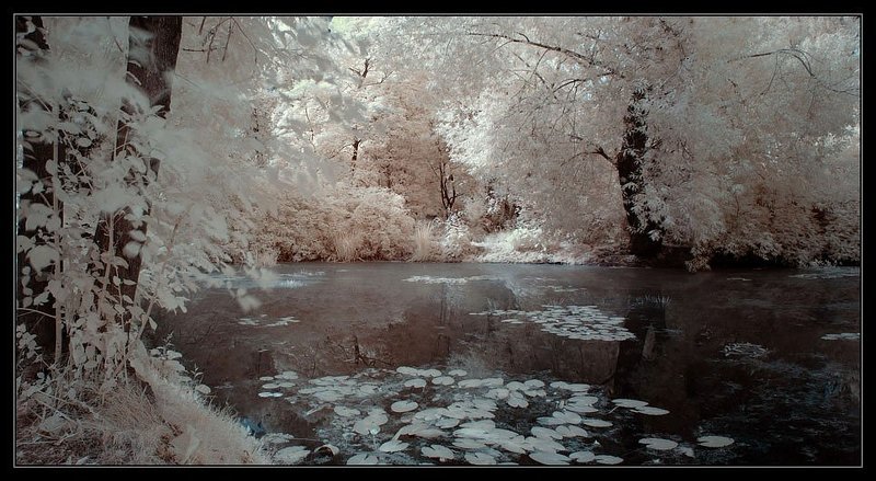 инфра, ик, infra red ***photo preview