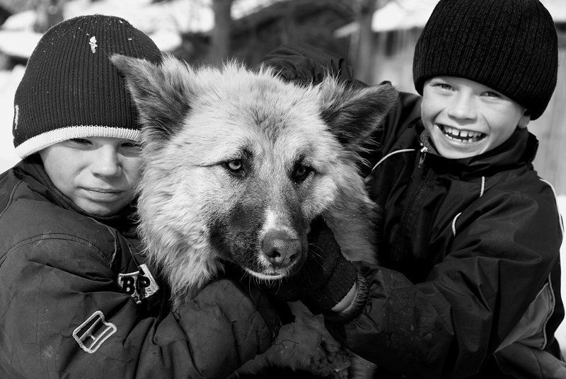 три харатераphoto preview