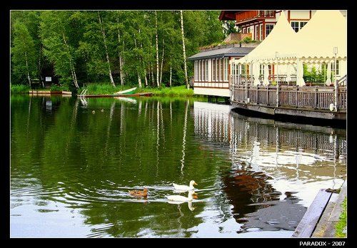 Пансионат для уток