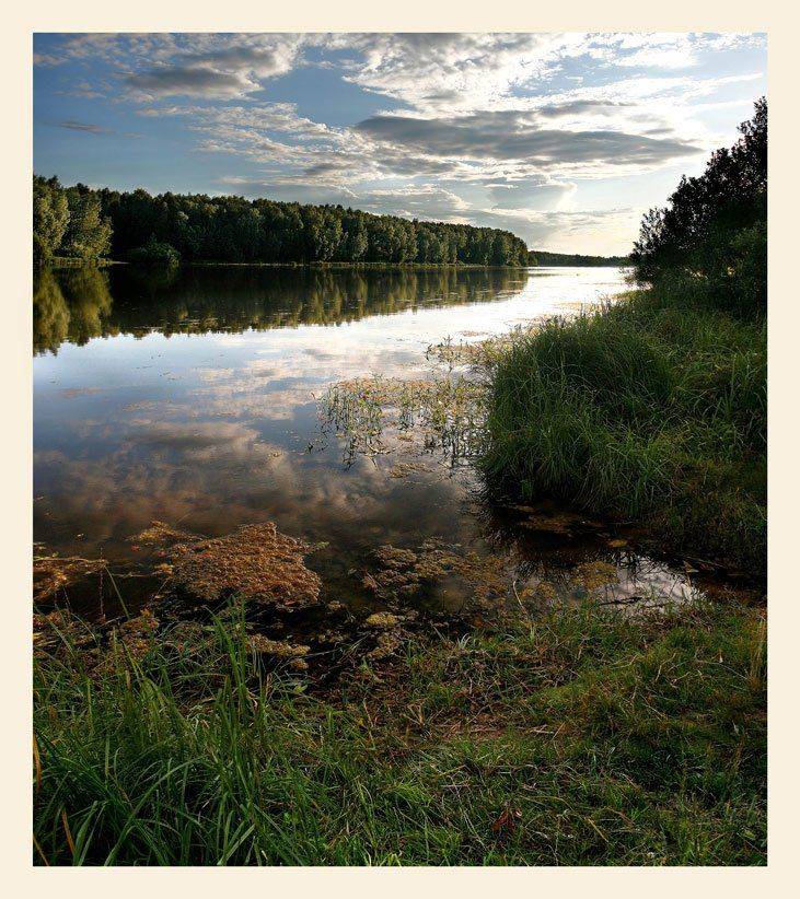 , Сергей Прокошин