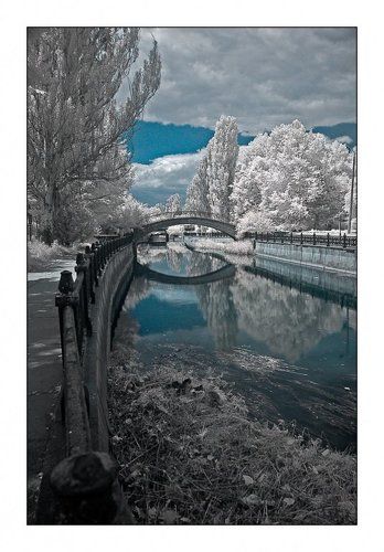 Заснеженый парк