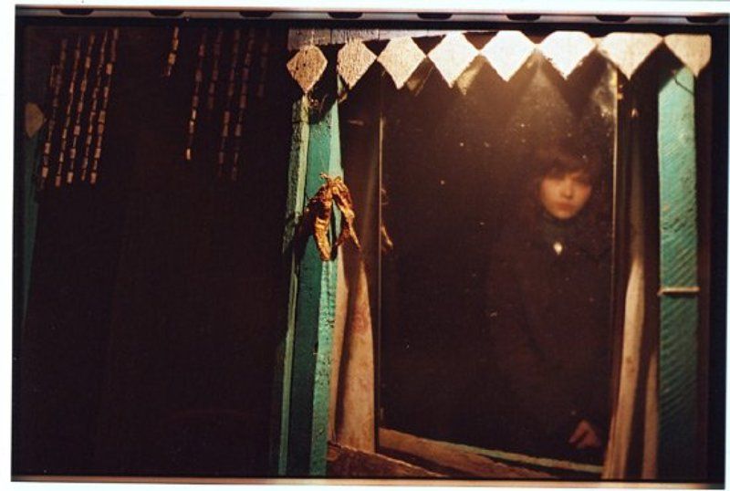 mao, 35 mm black pepperphoto preview