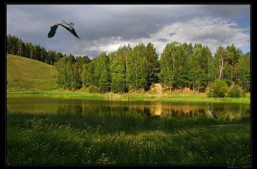 Там, где царят Покой и Красота