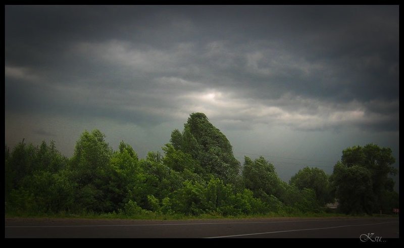 перед, грозой перед грозойphoto preview